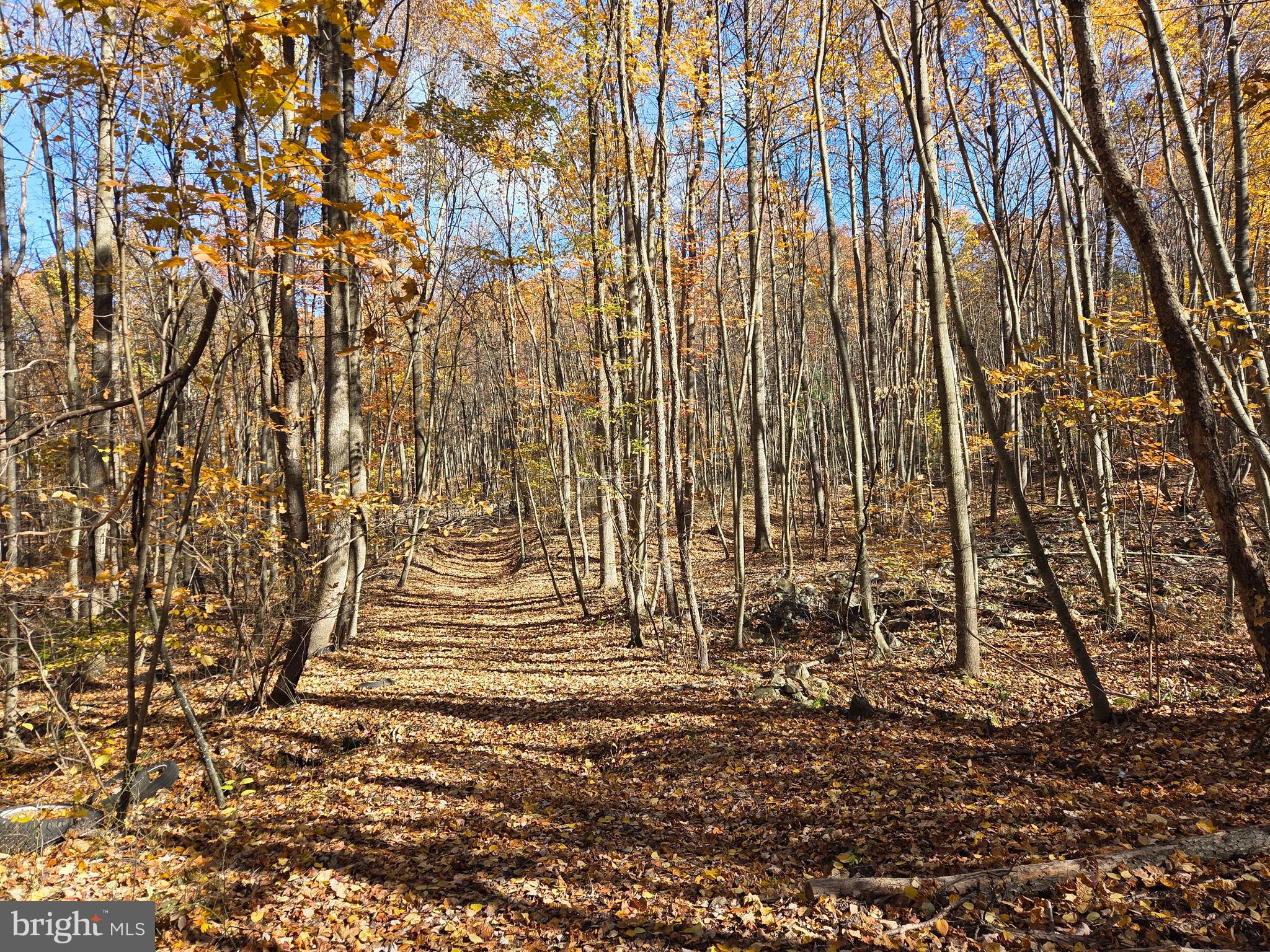 FAIRVIEW - Residential