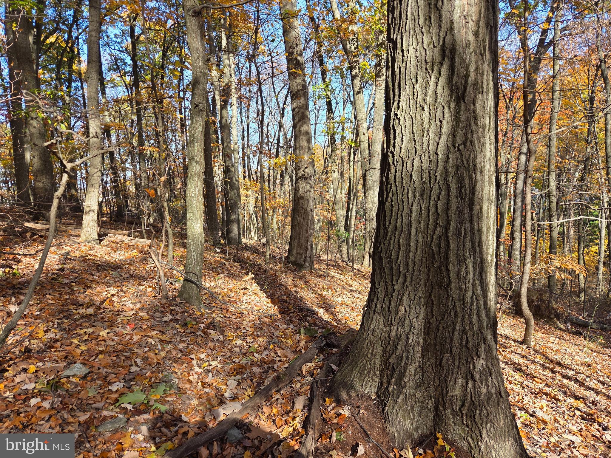 FAIRVIEW - Residential