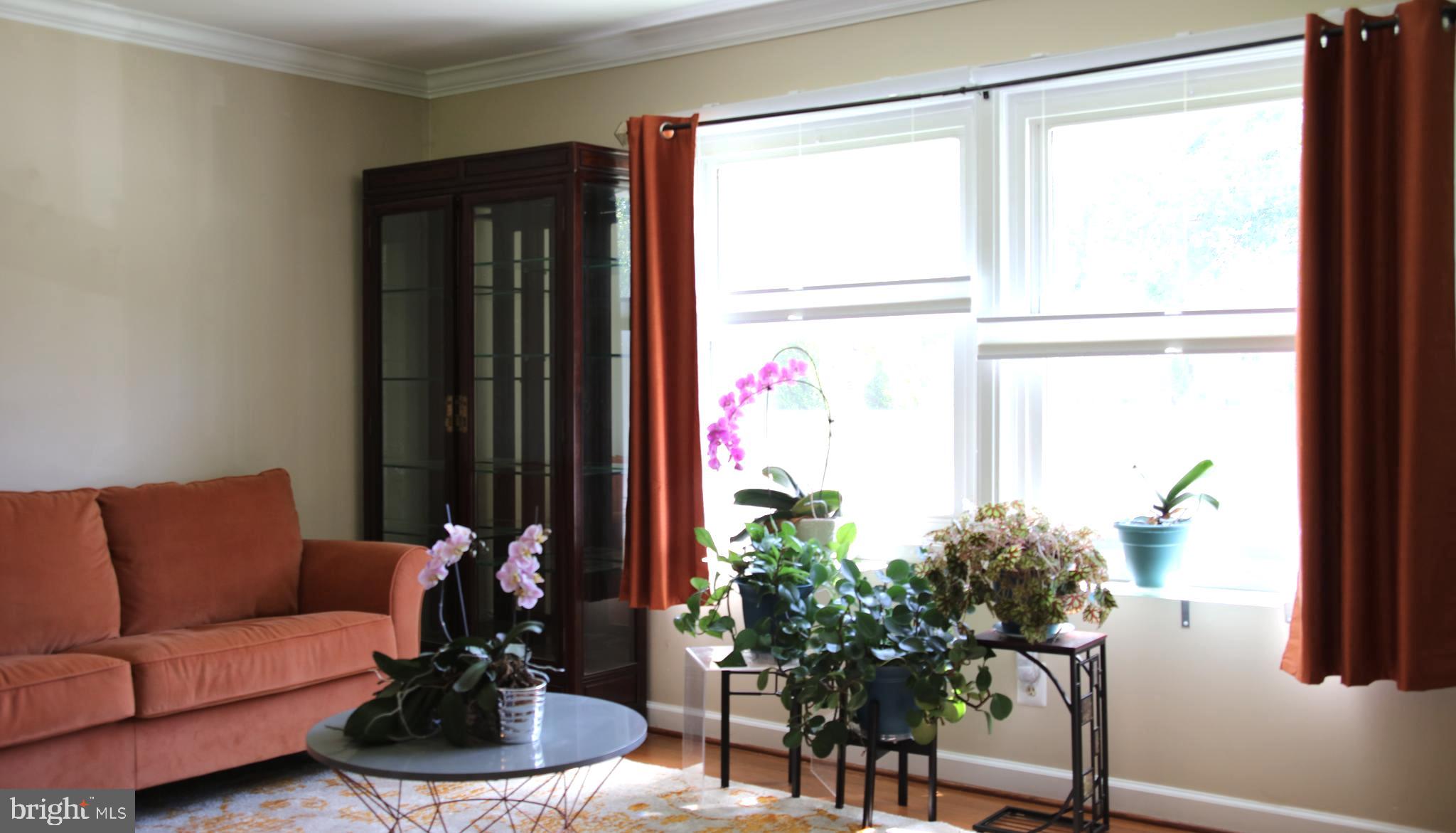 TIMBERBROOK - Residential Lease