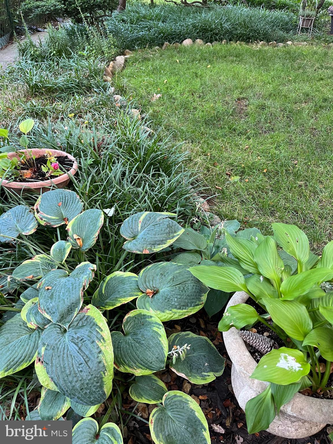 GREENBELT (CO-OP) - Residential