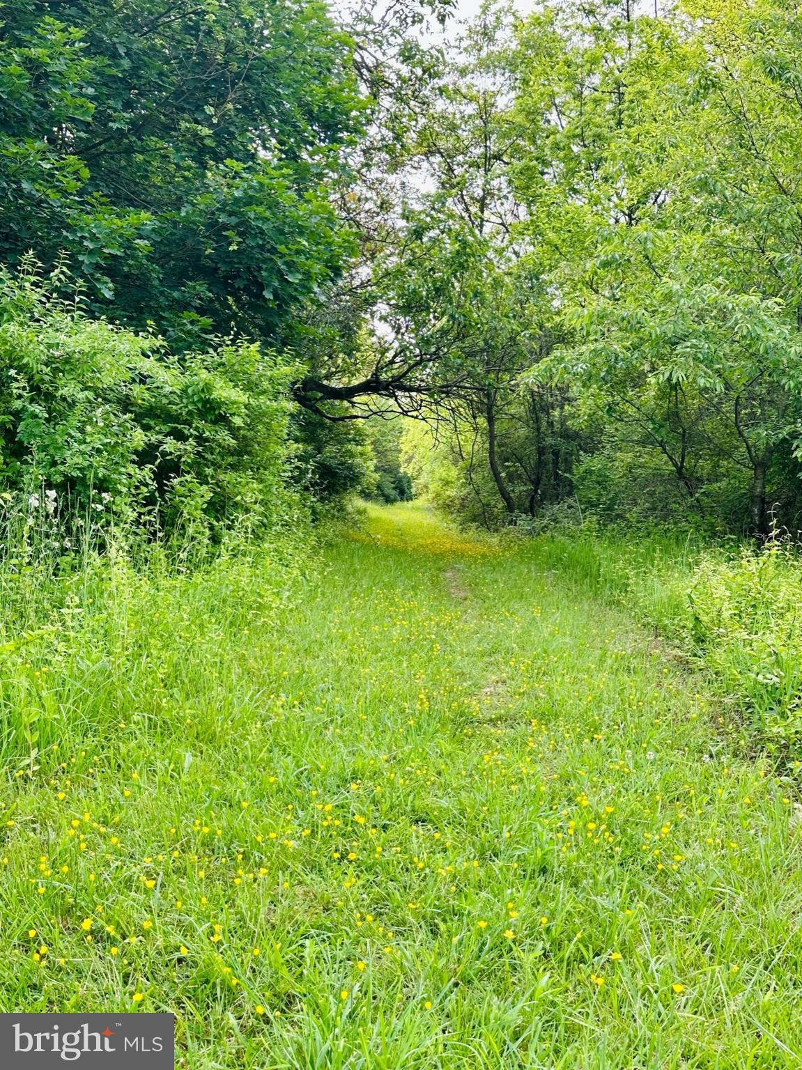 FUNKSTOWN - Residential