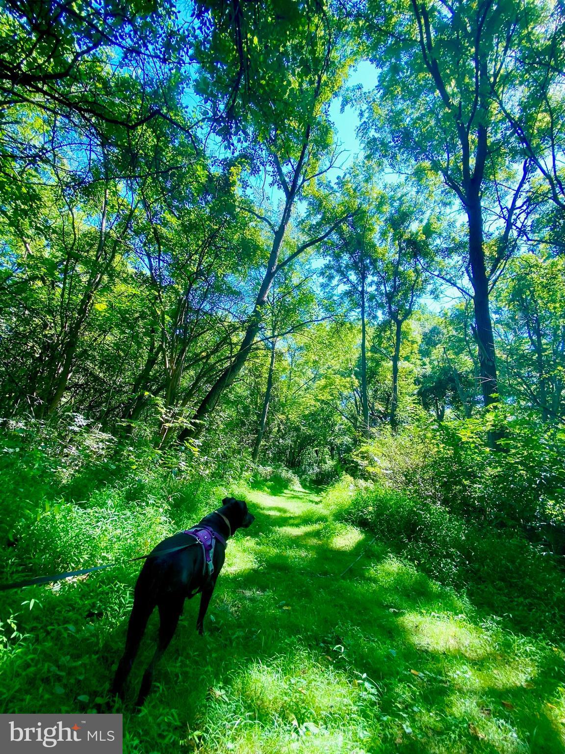 FUNKSTOWN - Residential