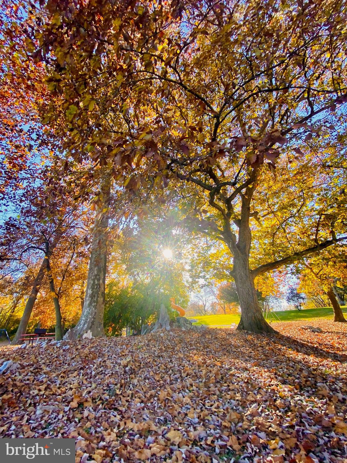 FUNKSTOWN - Residential