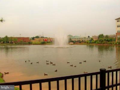 WALDEN - Residential