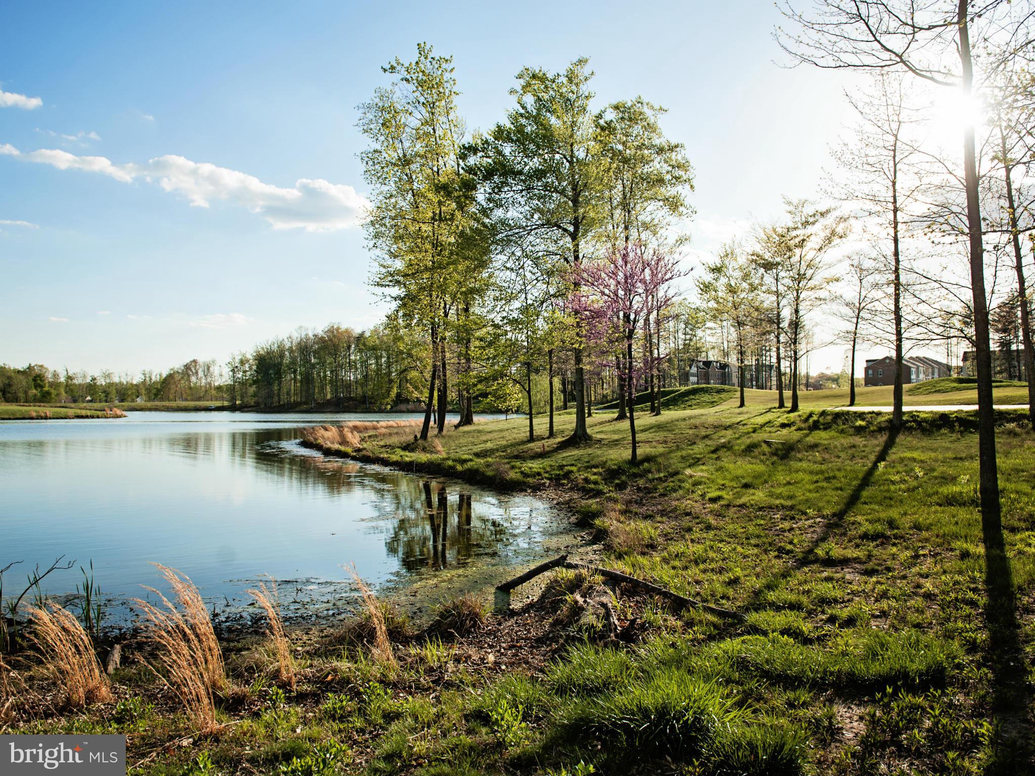 BEECH TREE EAST VILLAGE - Residential