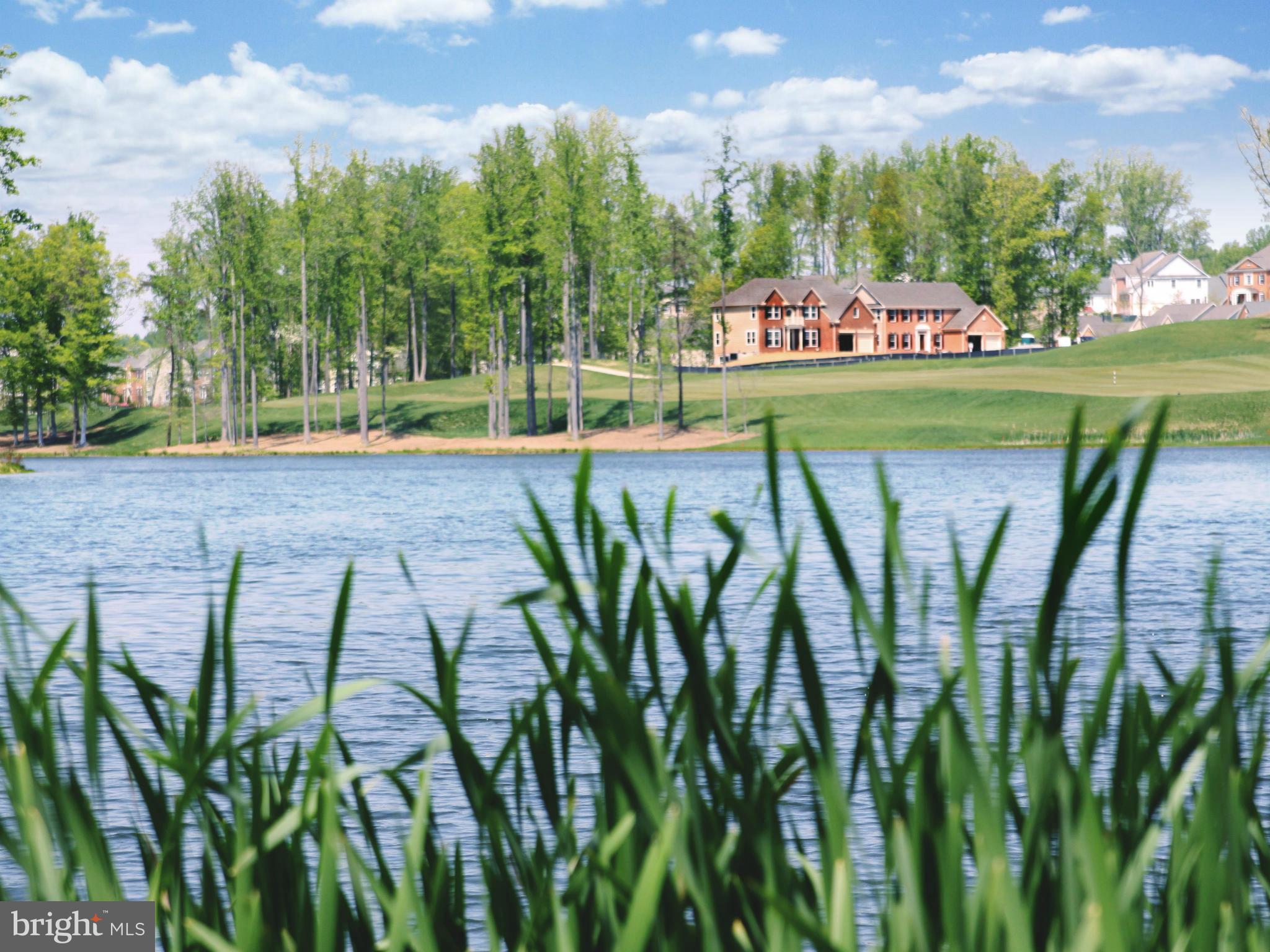 BEECH TREE EAST VILLAGE - Residential