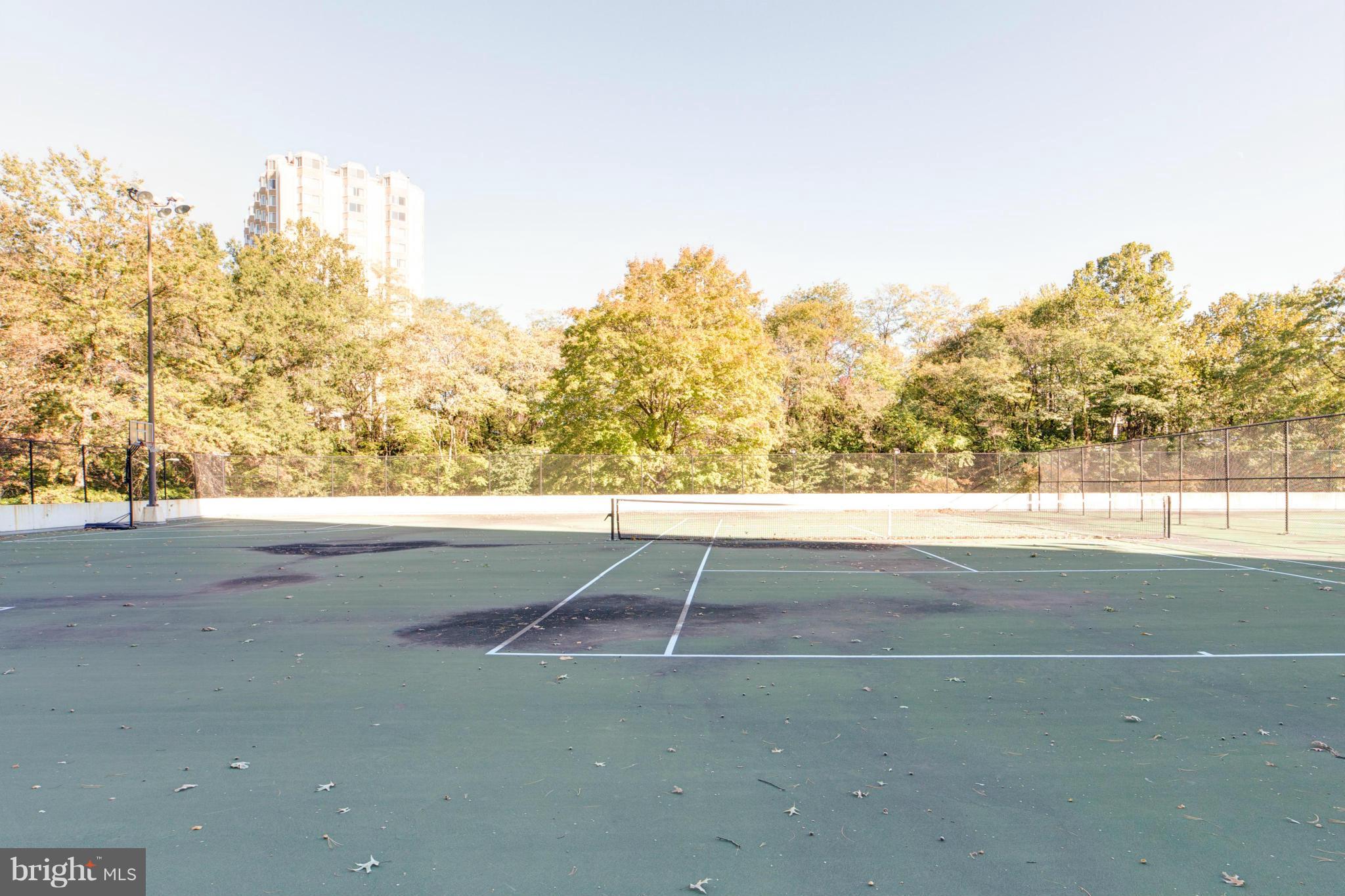 OLYMPUS INCL - Residential