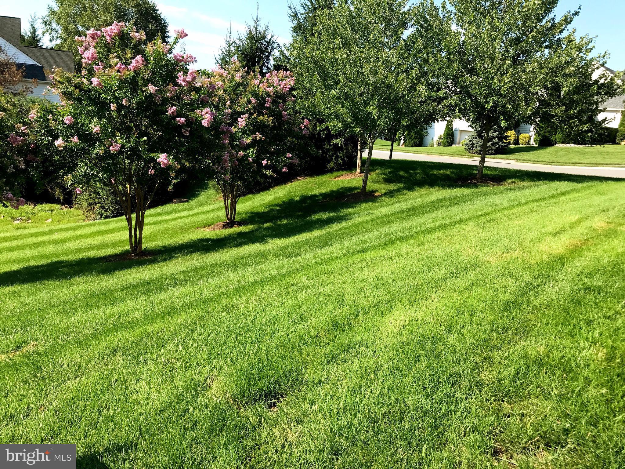 PIEDMONT - Residential