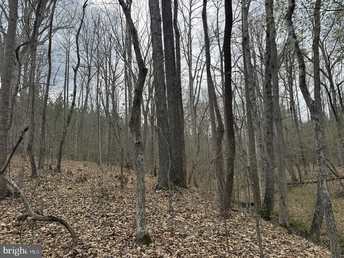 DODSON ROAD (TRACT: C117 ADAMS-THOMPSON)