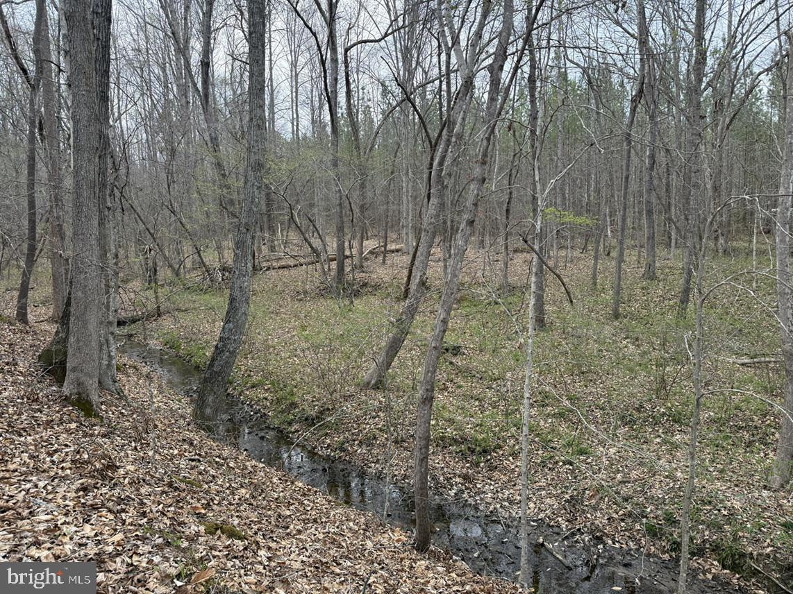 DODSON ROAD (TRACT: C117 ADAMS-THOMPSON)