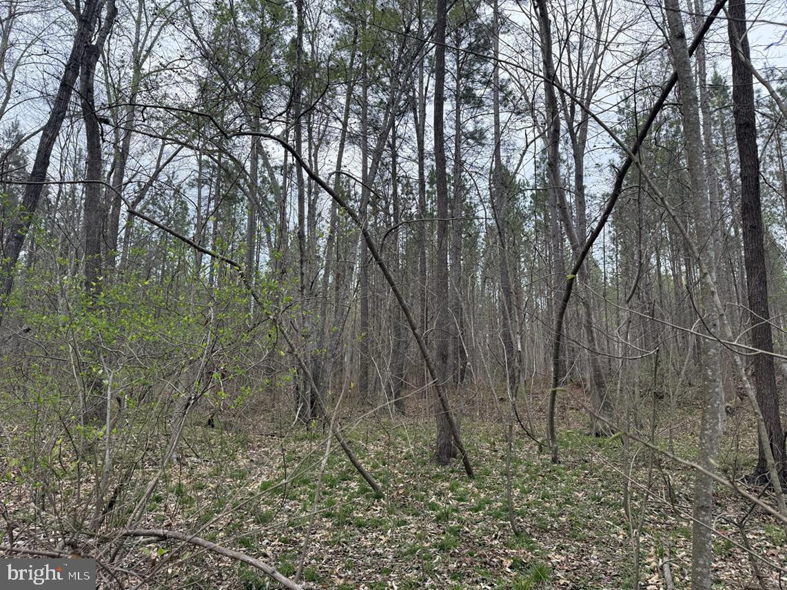 DODSON ROAD (TRACT: C117 ADAMS-THOMPSON)