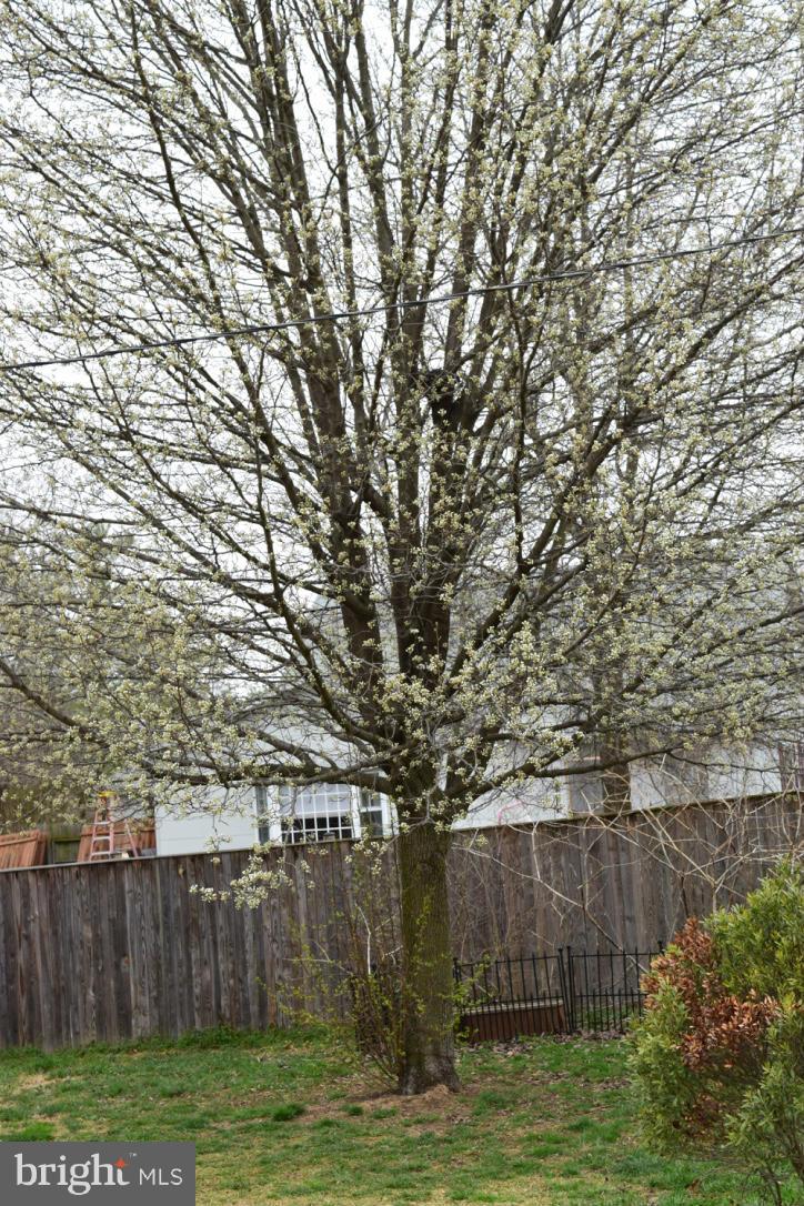 FOXHILL AT BELAIR - Residential