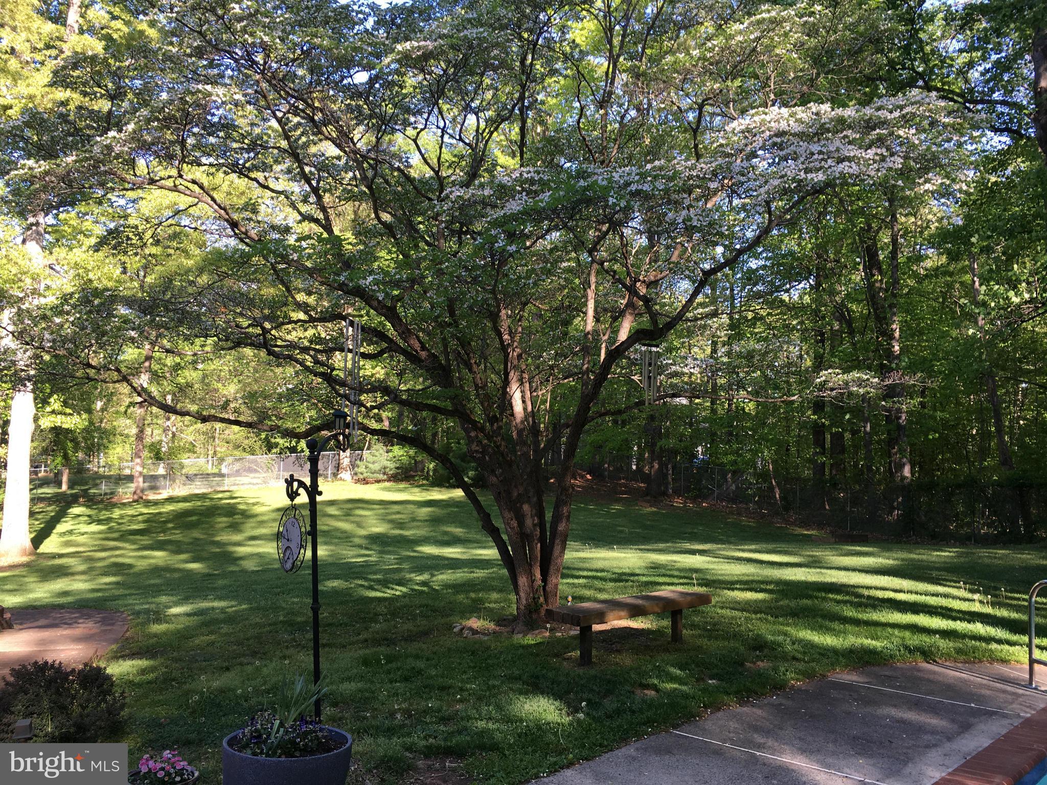 RIDGEWOOD ESTATES - Residential