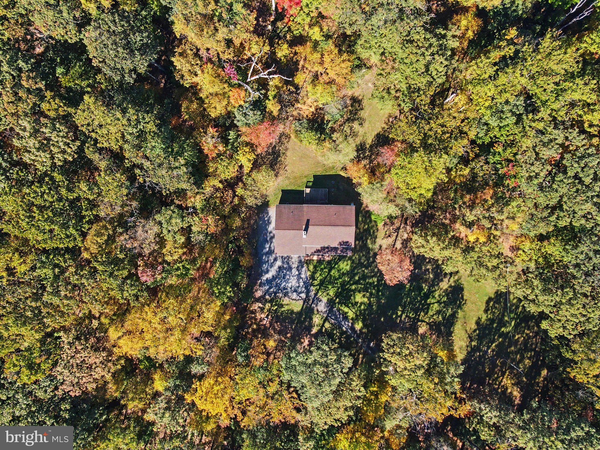 1651 MOUNTAIN ROAD