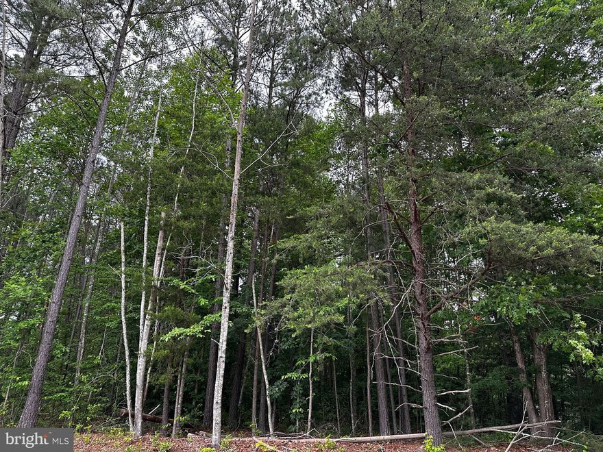 Build your next home here on this 3.3 acre lot with no HOA!  Bring your house plans and your own builder. Great location less than 45 minutes to Fredericksburg, Charlottesville or Richmond, less than 2 hours from DC & less than a 5 minute drive to Pleasants Landing at Lake Anna, where you can launch a boat & dine at El Gran Patron, Lake Anna's newest restaurant!  Spend your days boating and fishing on the lake, or simply enjoy the country life right from your own yard. **Lot is in between 1529 Eastham & 1607 Eastham Rd**