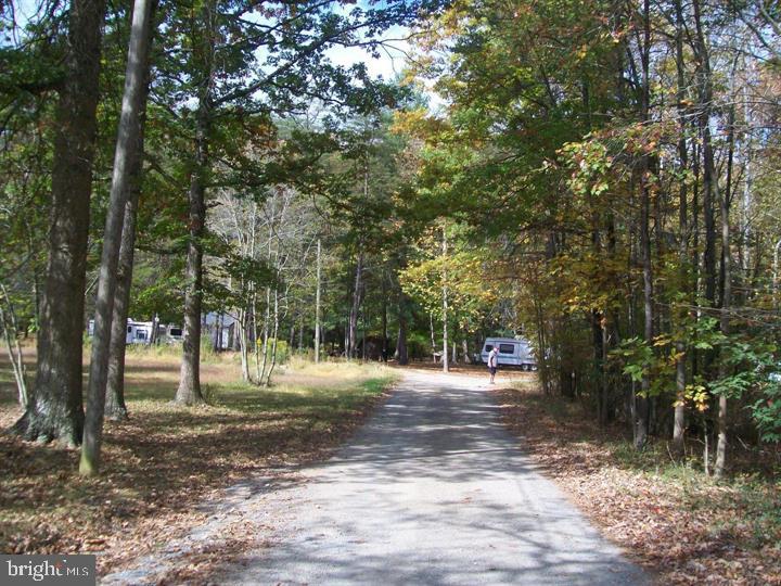 AUTUMN LANE