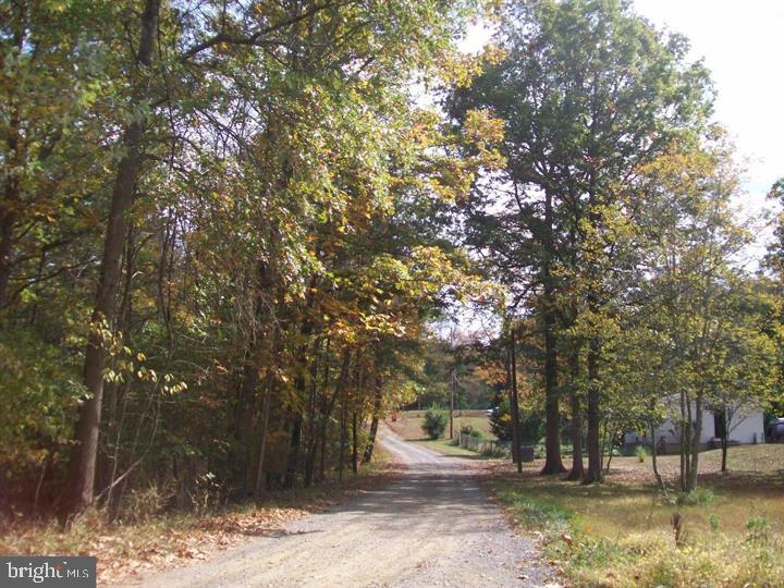 AUTUMN LANE