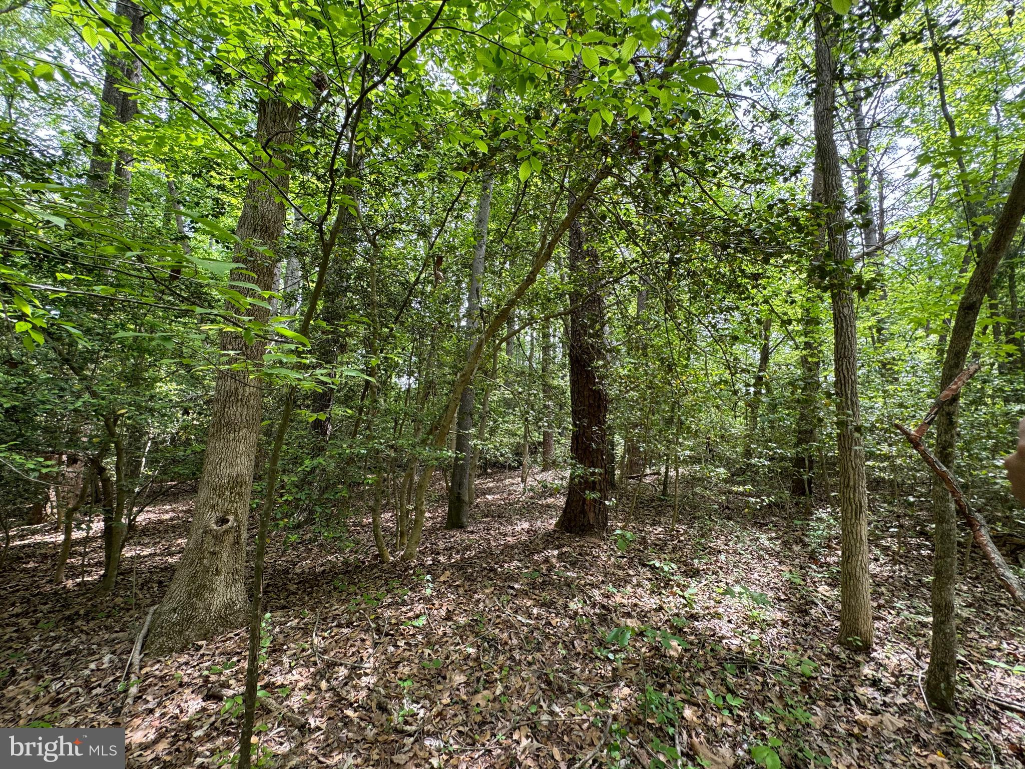 NONE AVAILABLE - Land