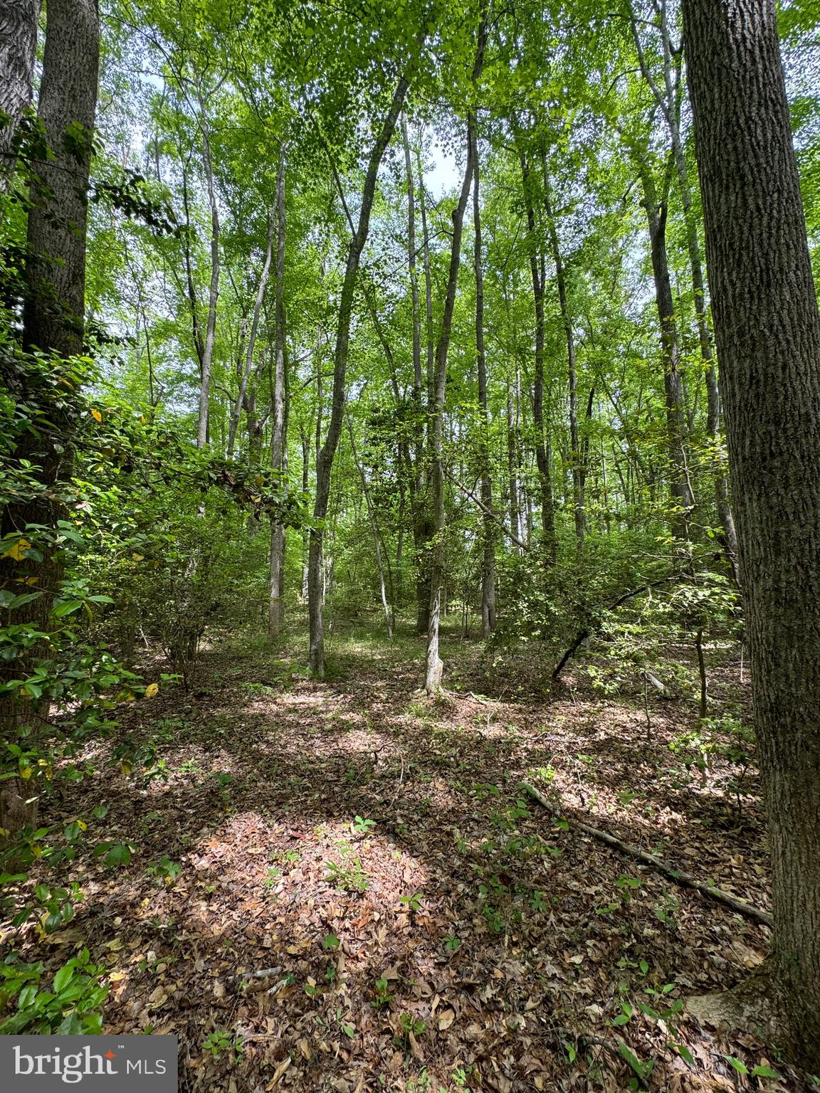 NONE AVAILABLE - Land