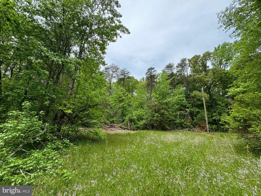 This beautiful 4-acre waterfront lot on the public side of Lake Anna offers you a blank canvas on which to bring your lake dreams to life!  Located off Lewiston road (where high-speed Comcast Xfinity internet is available), this lot is NON-HOA, offers approximately 150 feet of waterfront shoreline, and is on the eastern side of the public side of Lake Anna, where the water is the deepest and most clear on the entire public side of the lake!   Most lots at Lake Anna are only 1-2 acres; but this lot is over 4 acres in size - very rare!  A great place for camping, hiking, and fishing before you build your dream home on Lake Anna.  Fantastic location - very short ride to marinas, restaurants, the Lake Anna Winery, groceries, and more.