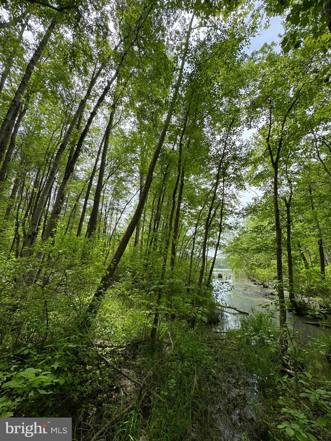 NONE AVAILABLE - Land