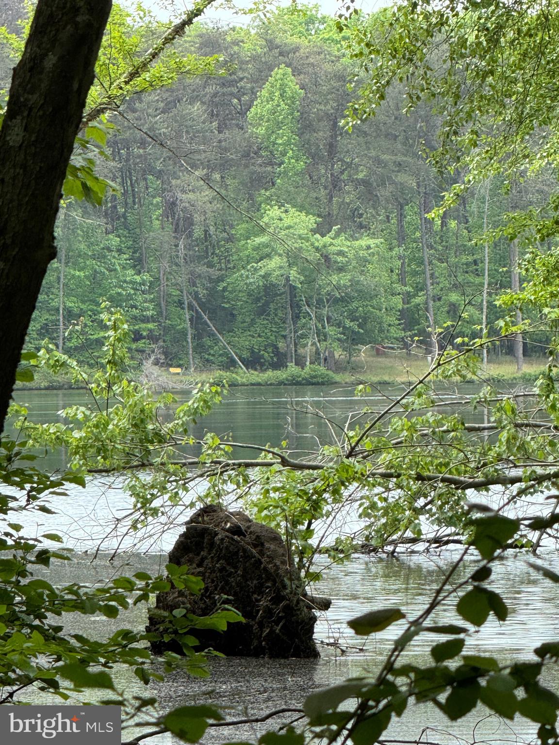 NONE AVAILABLE - Land