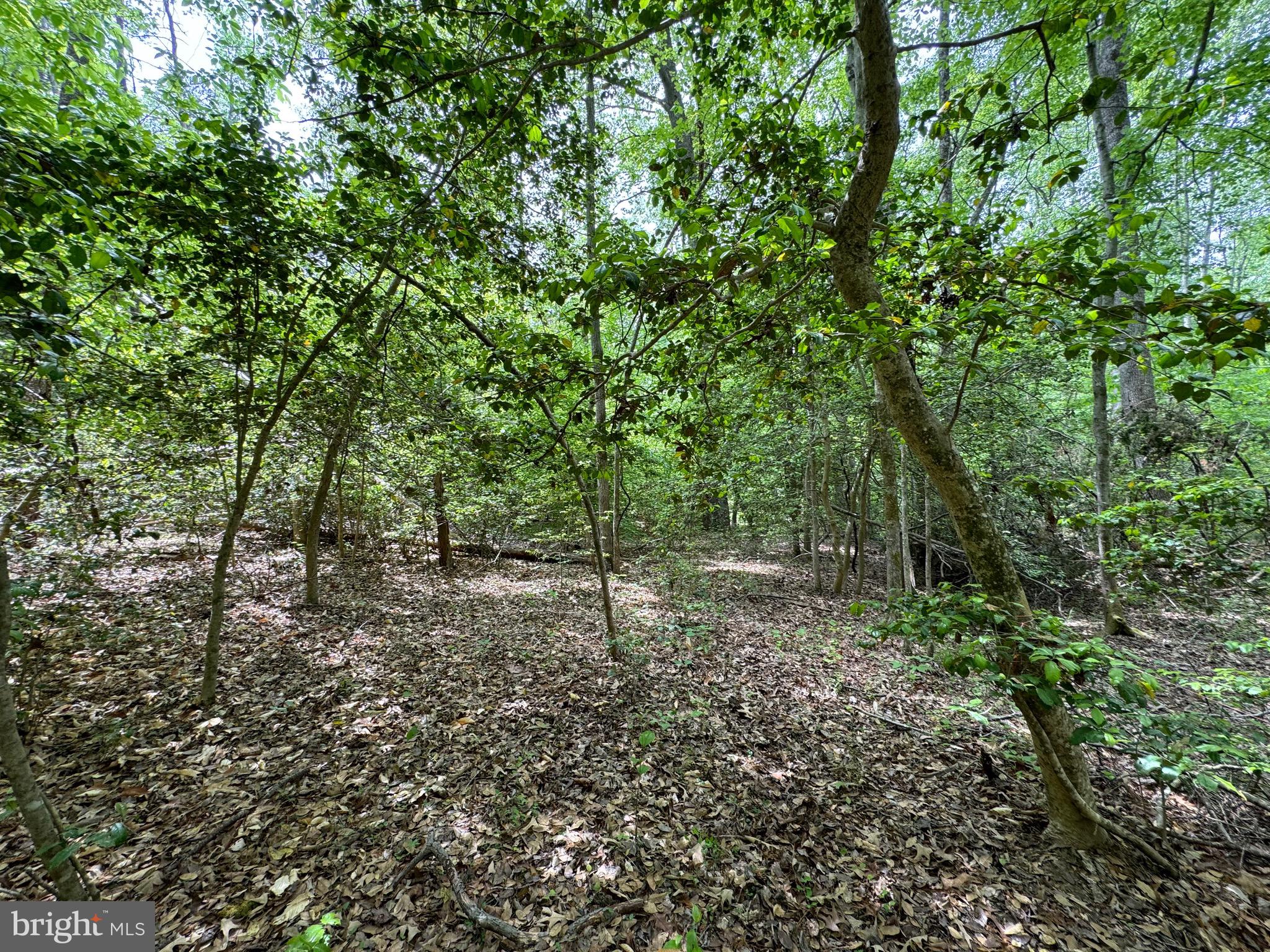 NONE AVAILABLE - Land