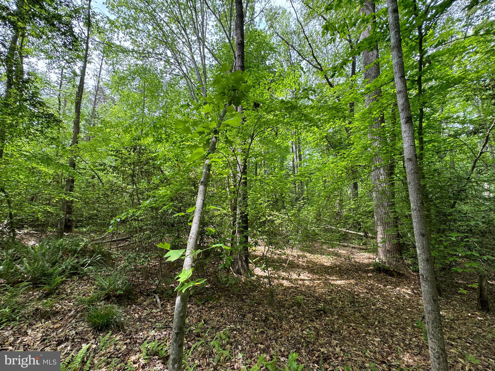 NONE AVAILABLE - Land