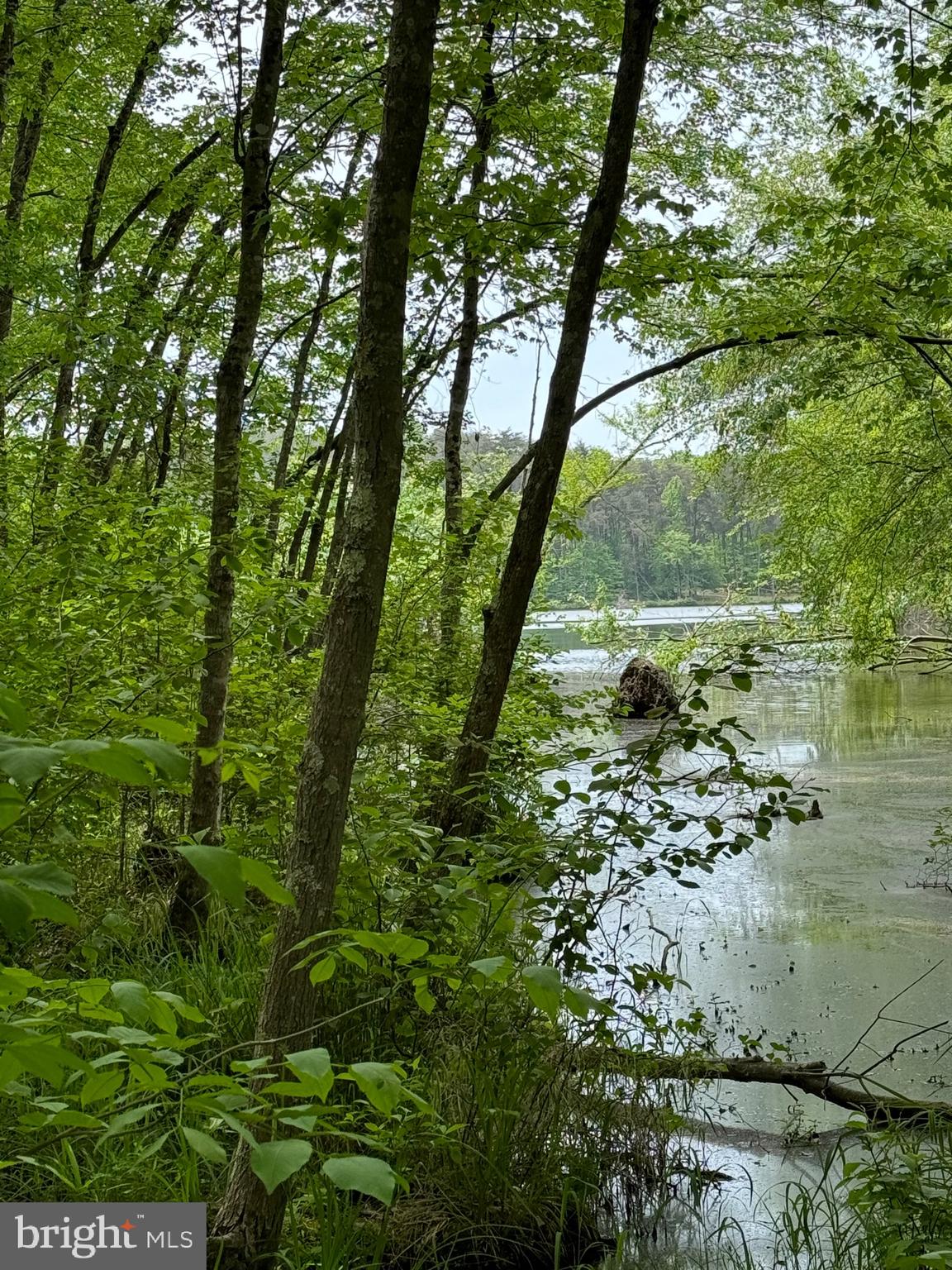 NONE AVAILABLE - Land