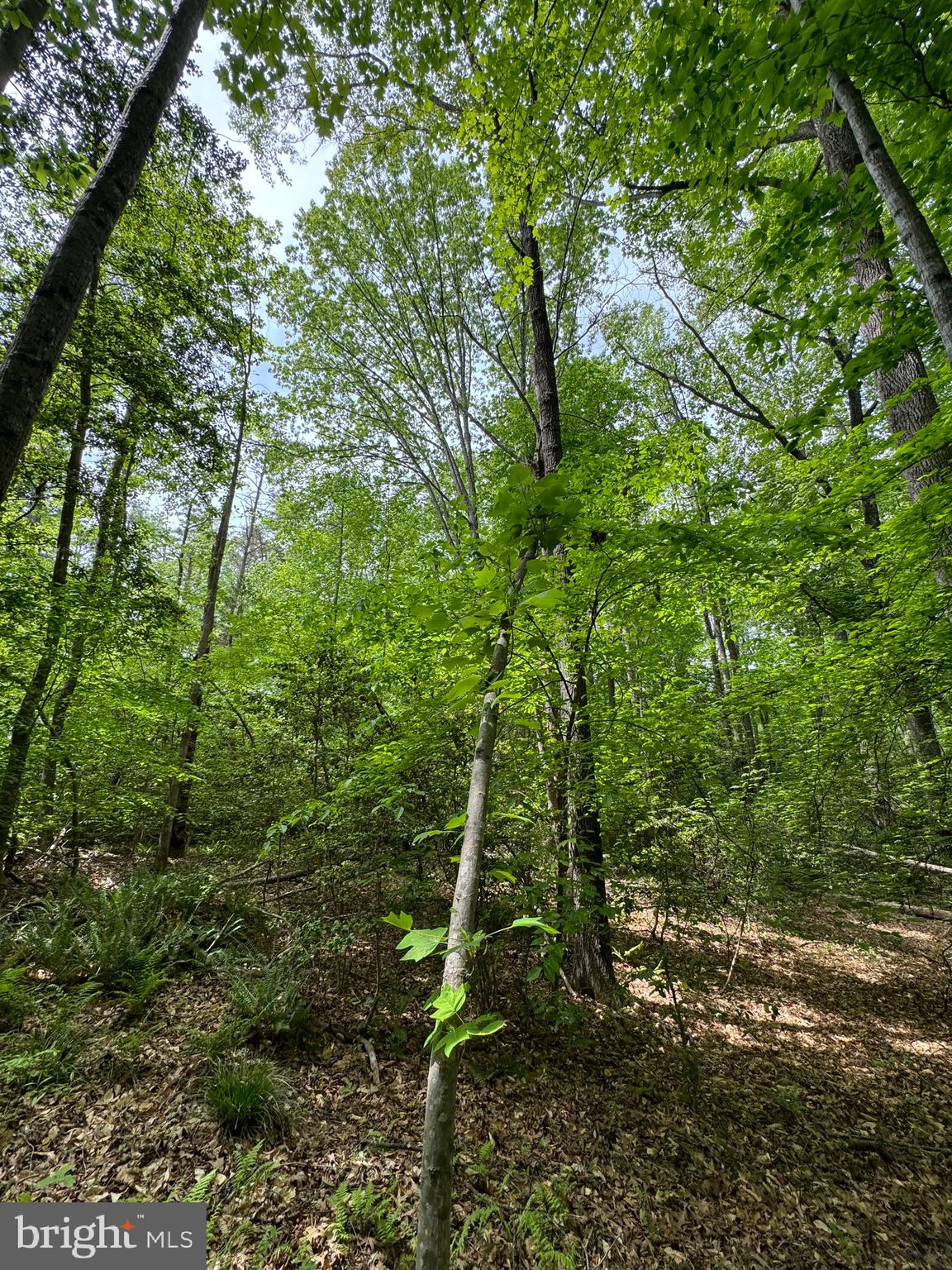 NONE AVAILABLE - Land