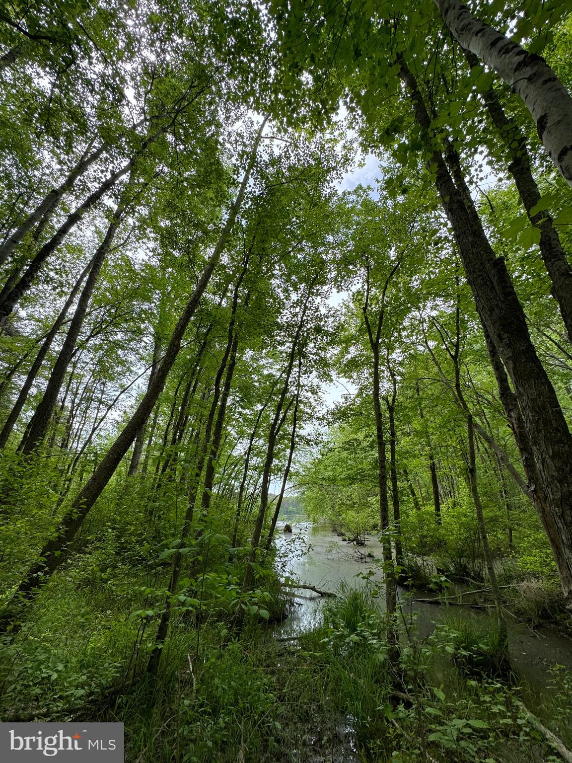 NONE AVAILABLE - Land