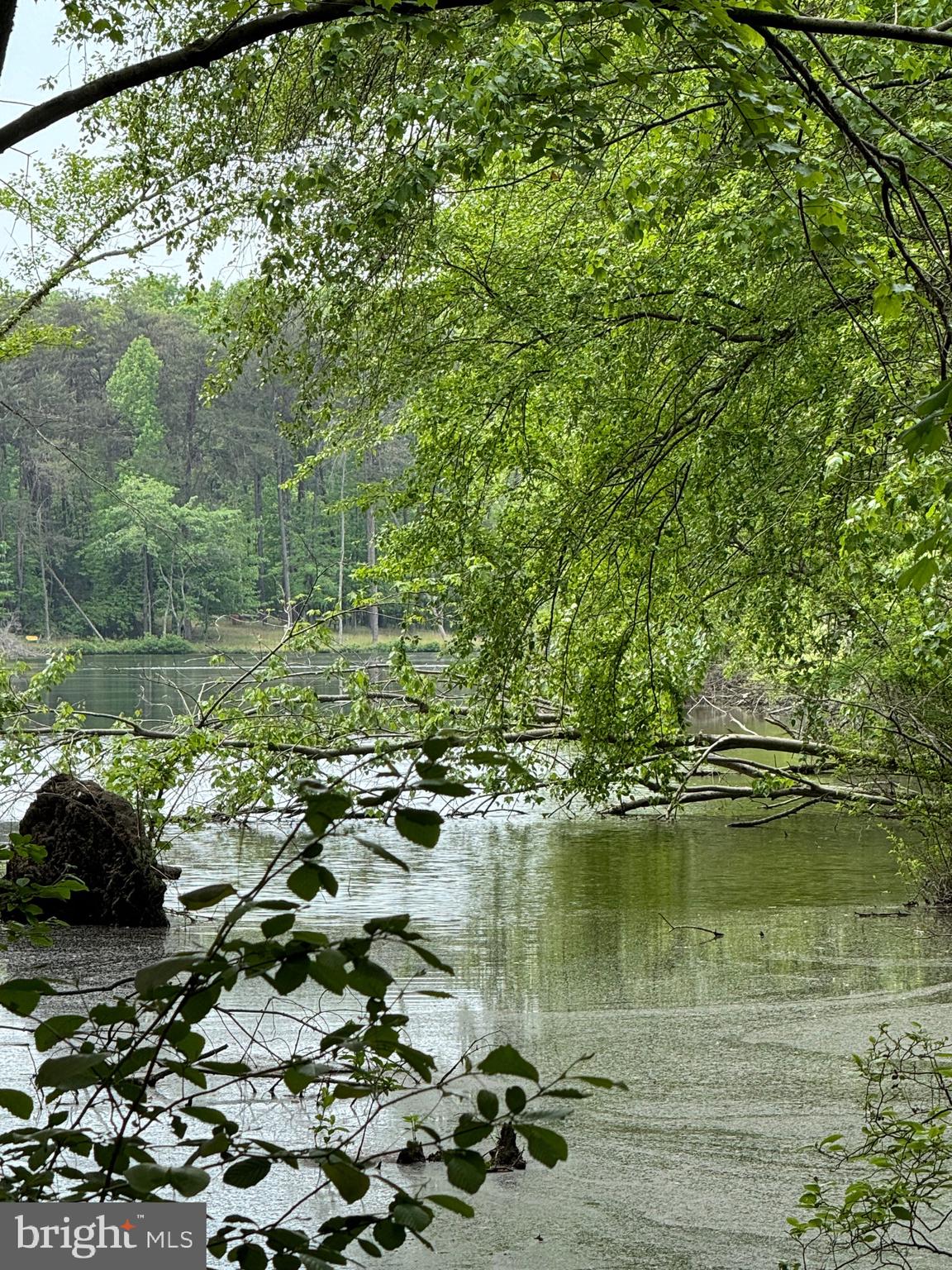 NONE AVAILABLE - Land