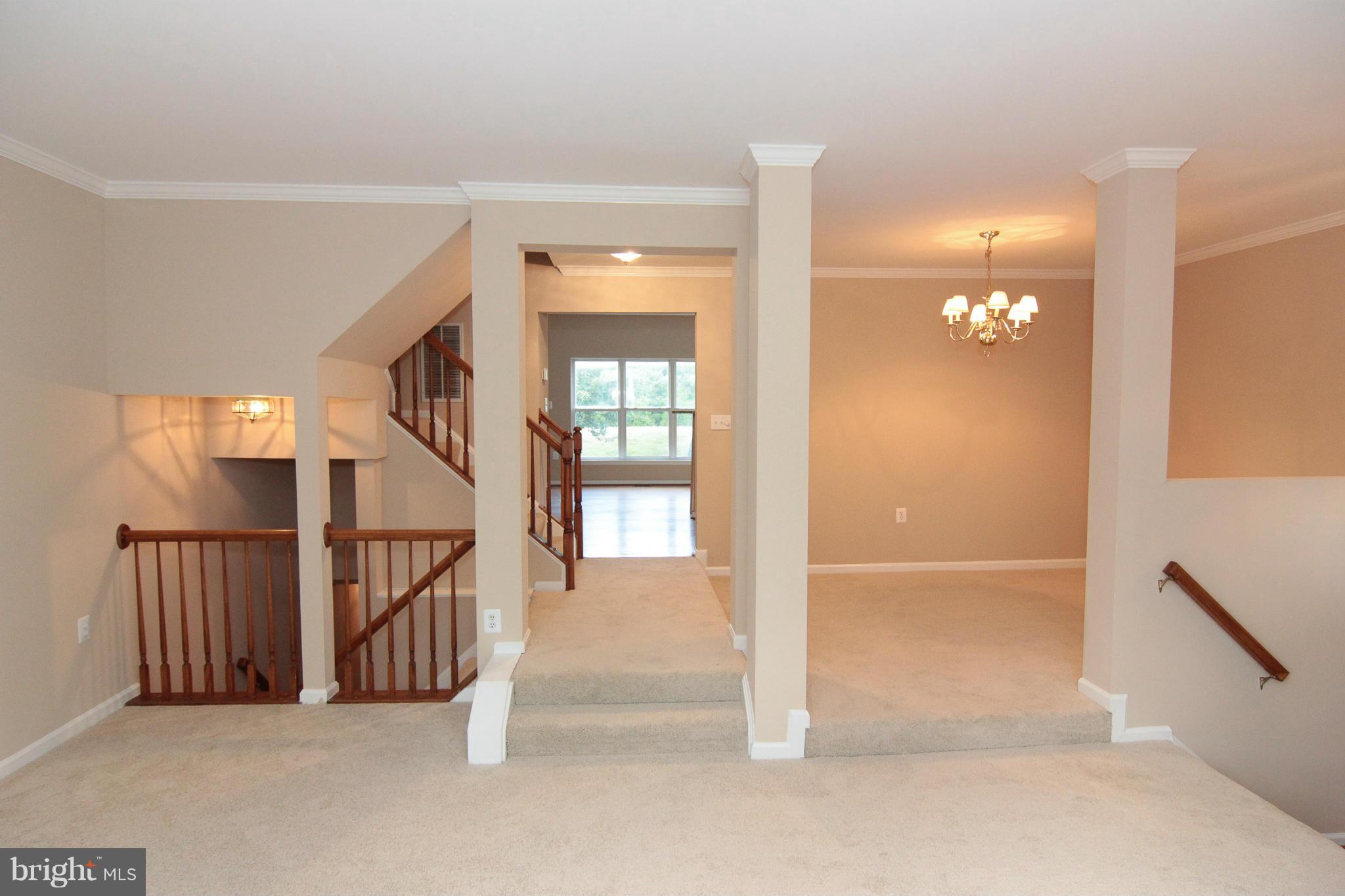 POTOMAC HUNT - Residential