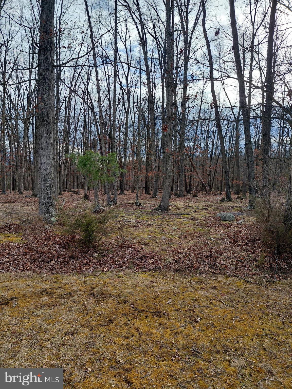 OAK HAVEN FARM - Residential