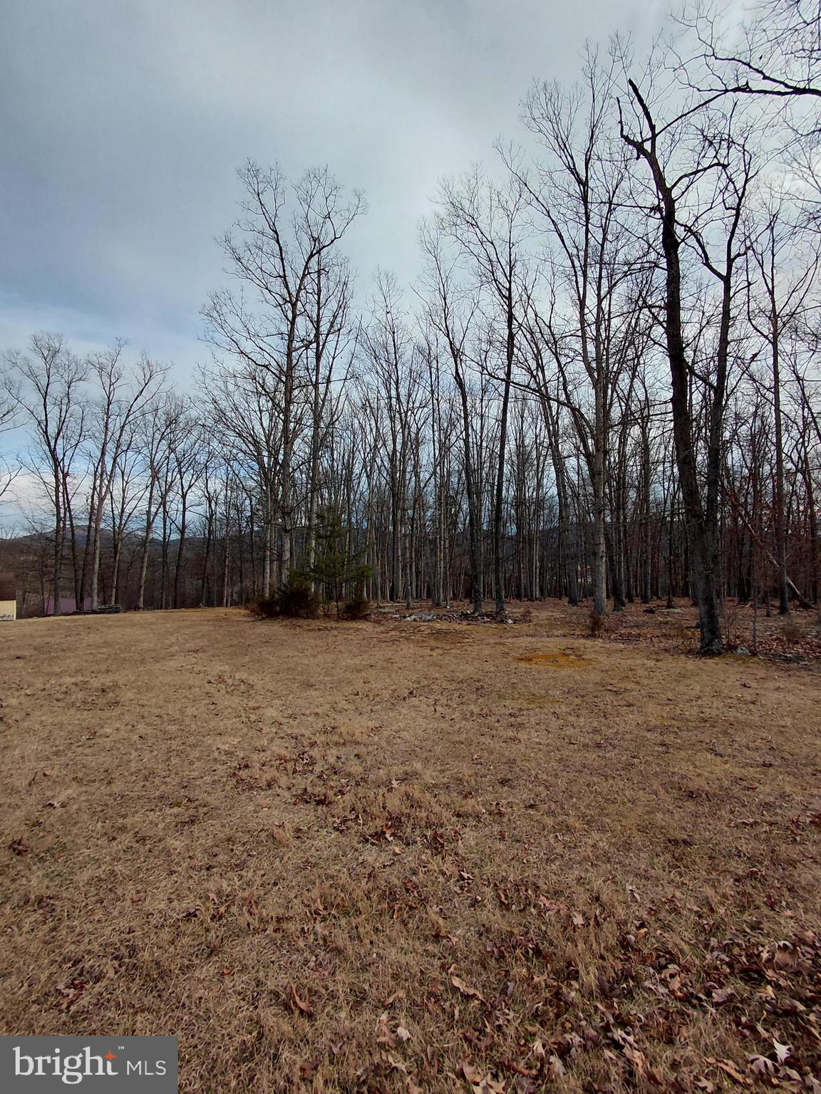 OAK HAVEN FARM - Residential