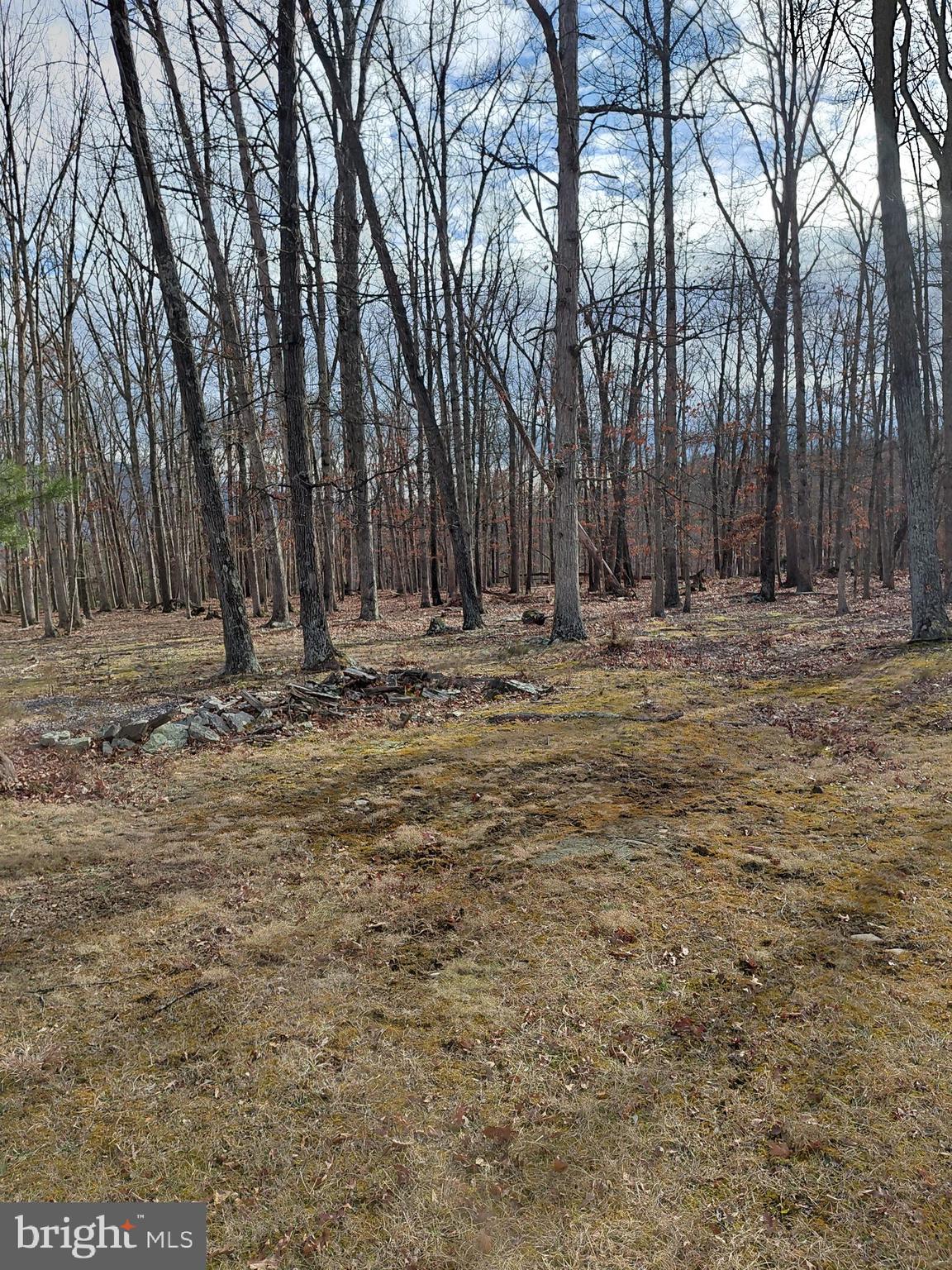 OAK HAVEN FARM - Residential