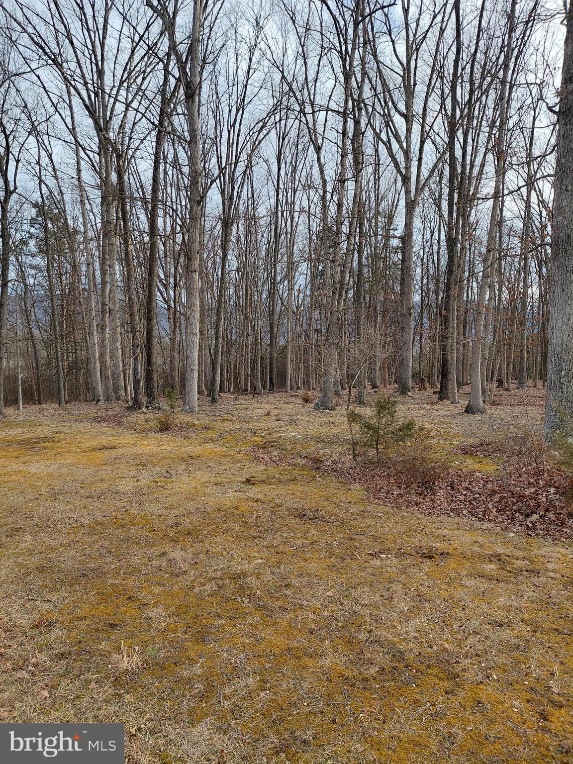 OAK HAVEN FARM - Residential