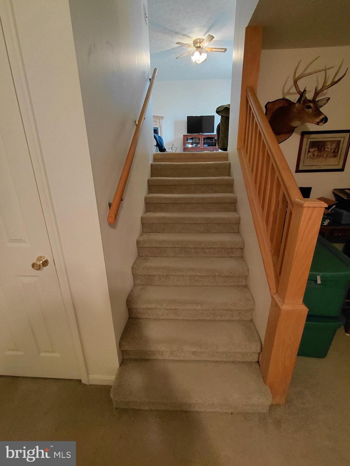 OAK HAVEN FARM - Residential