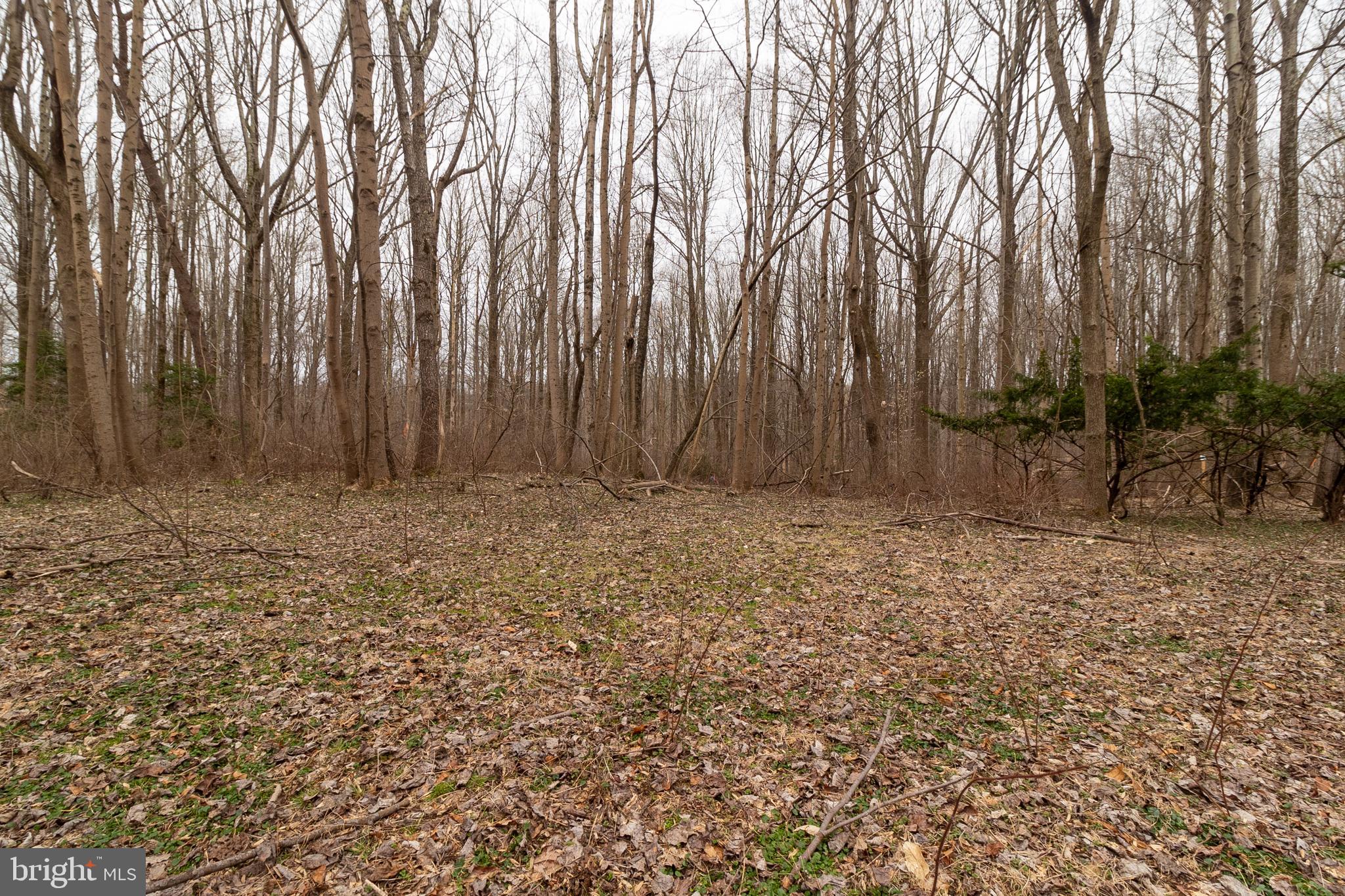 PT OLNEY OUT RES 3 - Land