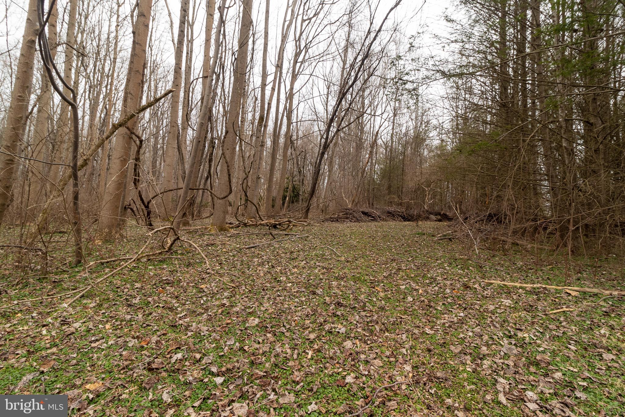 PT OLNEY OUT RES 3 - Land