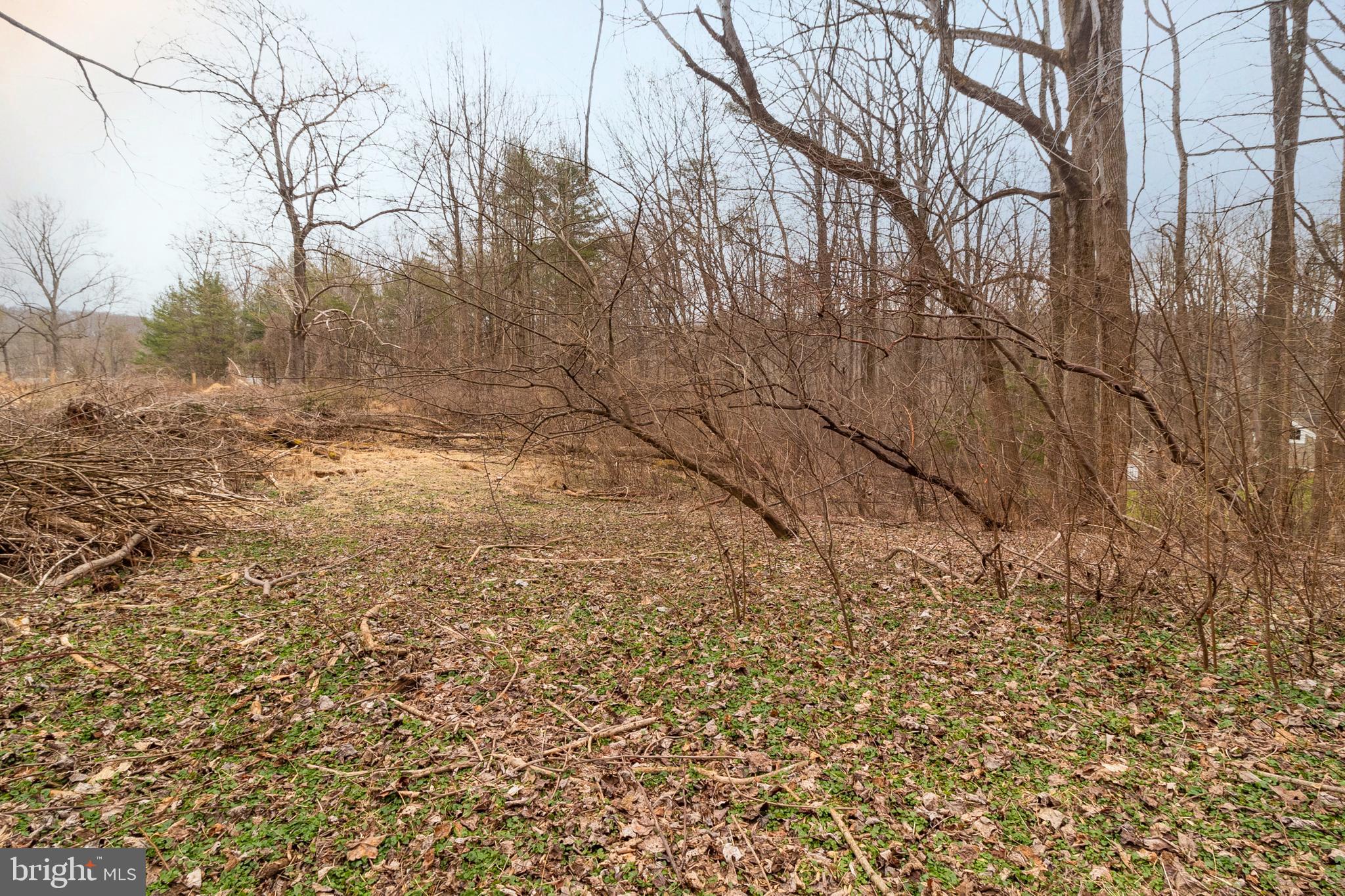 PT OLNEY OUT RES 3 - Land