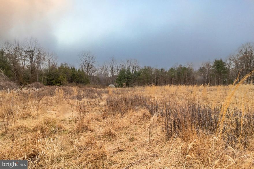 An outstanding opportunity to own a sprawling 6.9-acre level lot in the prestigious and highly sought-after Ashton area zoned RC (Rural Cluster), this versatile property offers a wide range of potential uses—whether you envision building your dream estate, establishing a farm, operating a residential care facility, family day care, religious assembly, playground, or other permitted public uses. Please refer to the attached Montgomery County Use Table and contact the county directly to confirm specific allowable uses. Previously subdivided into three parcels and formerly operated as a tree nursery, this lot offers exceptional flexibility and long-term value. With extensive road frontage and surrounded by upscale homes valued at over $1 million, it delivers the perfect balance of privacy, accessibility, and prestige.  This parcel has an approved perc test from 2019, confirming its suitability for septic system installation.  Don’t miss this chance to invest in one of Ashton’s most desirable locations.