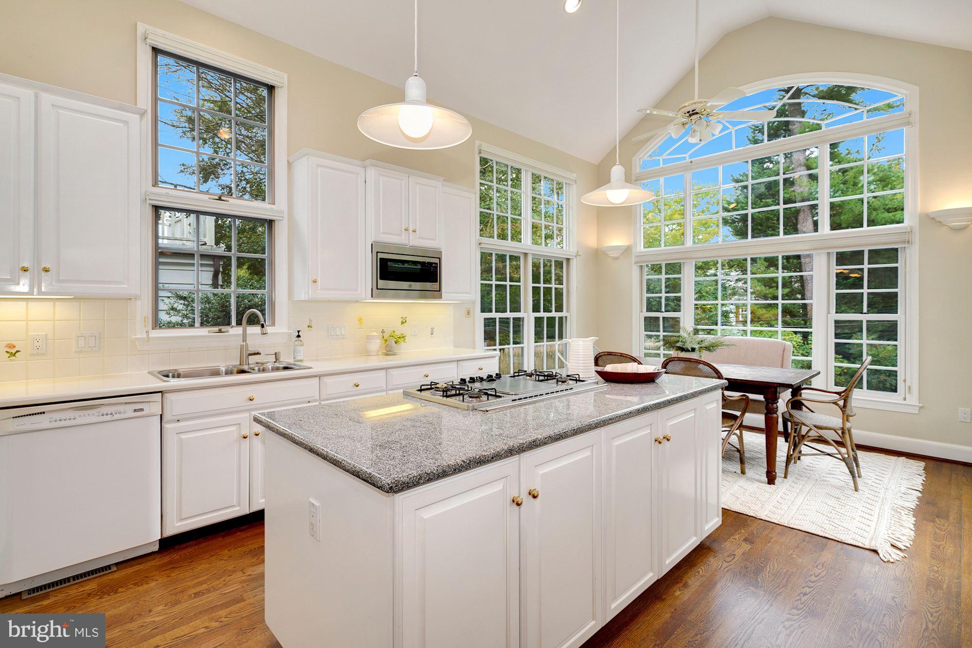 CHEVY CHASE VILLAGE - Residential