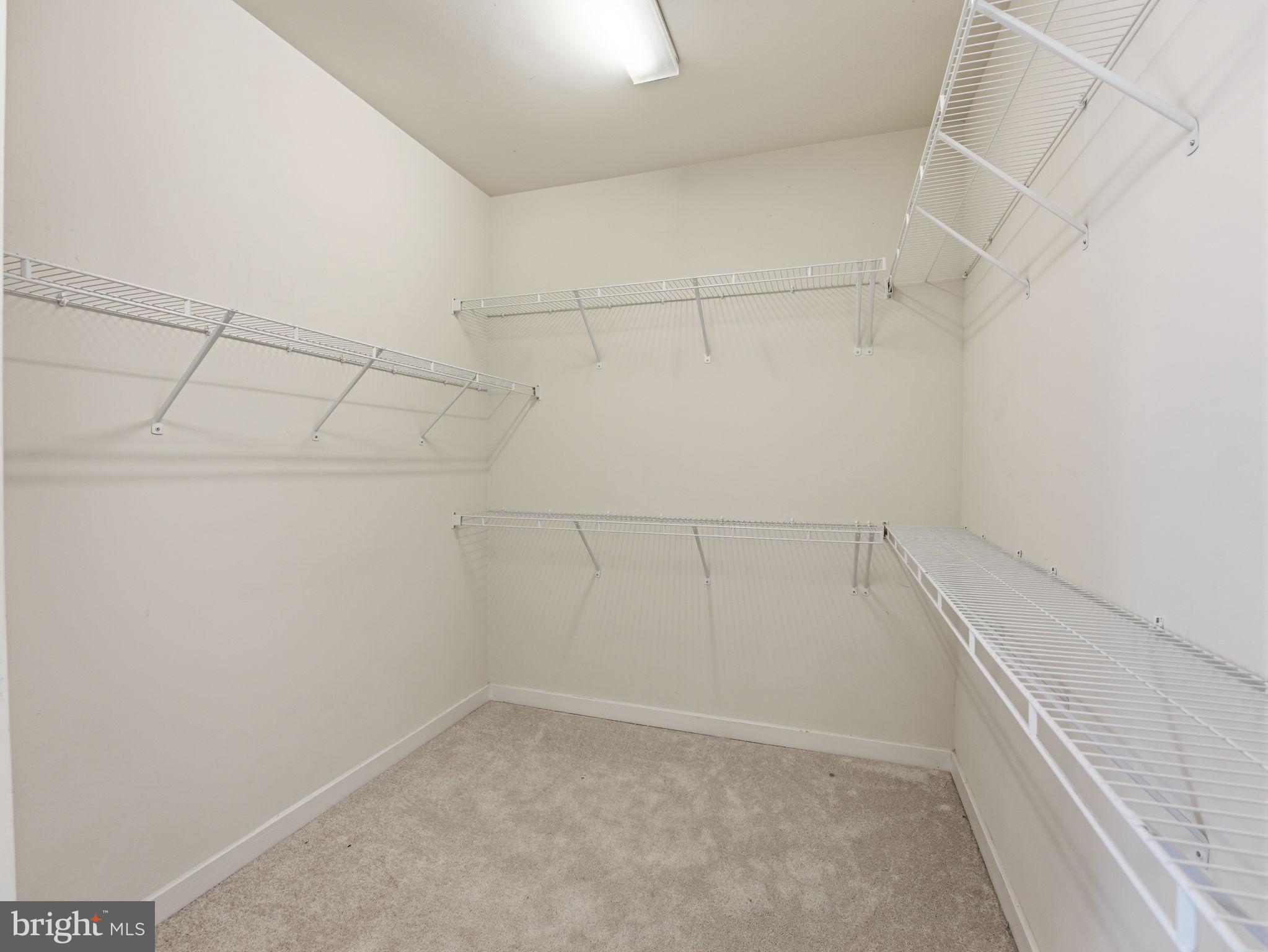 MOUNT VINEYARD - Residential