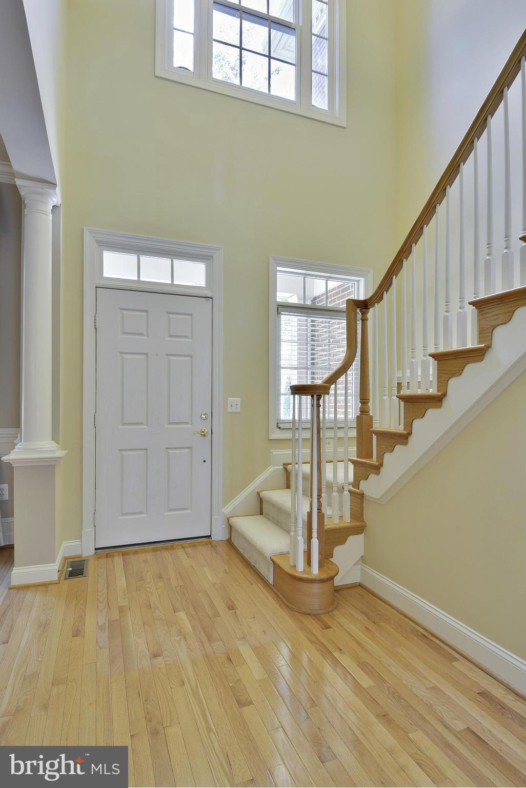 RUGBY ROAD - Residential