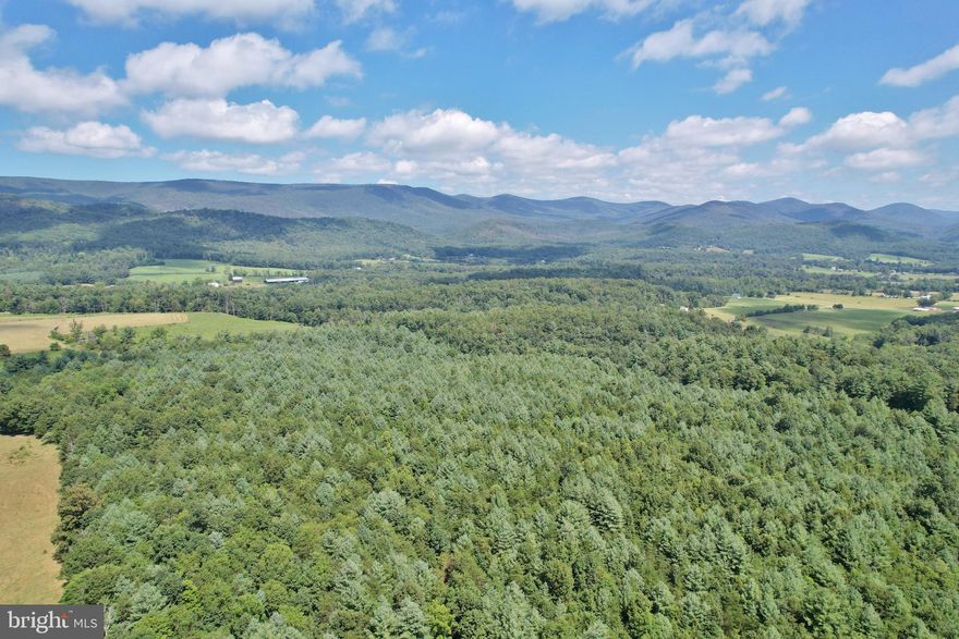Check out this serene 33 acre wooded lot located of Alum Spring Rd in Edinburg, VA. There is lots of potential in this property! You could make this property your own private homestead, or for the fellow hunters, this could be a great area for a hunting cabin. Also, located just 15 minutes away from Bryce Resort.