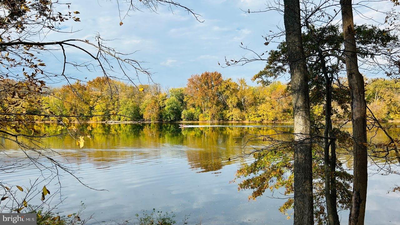 CASCADES/LOWES - Residential Lease