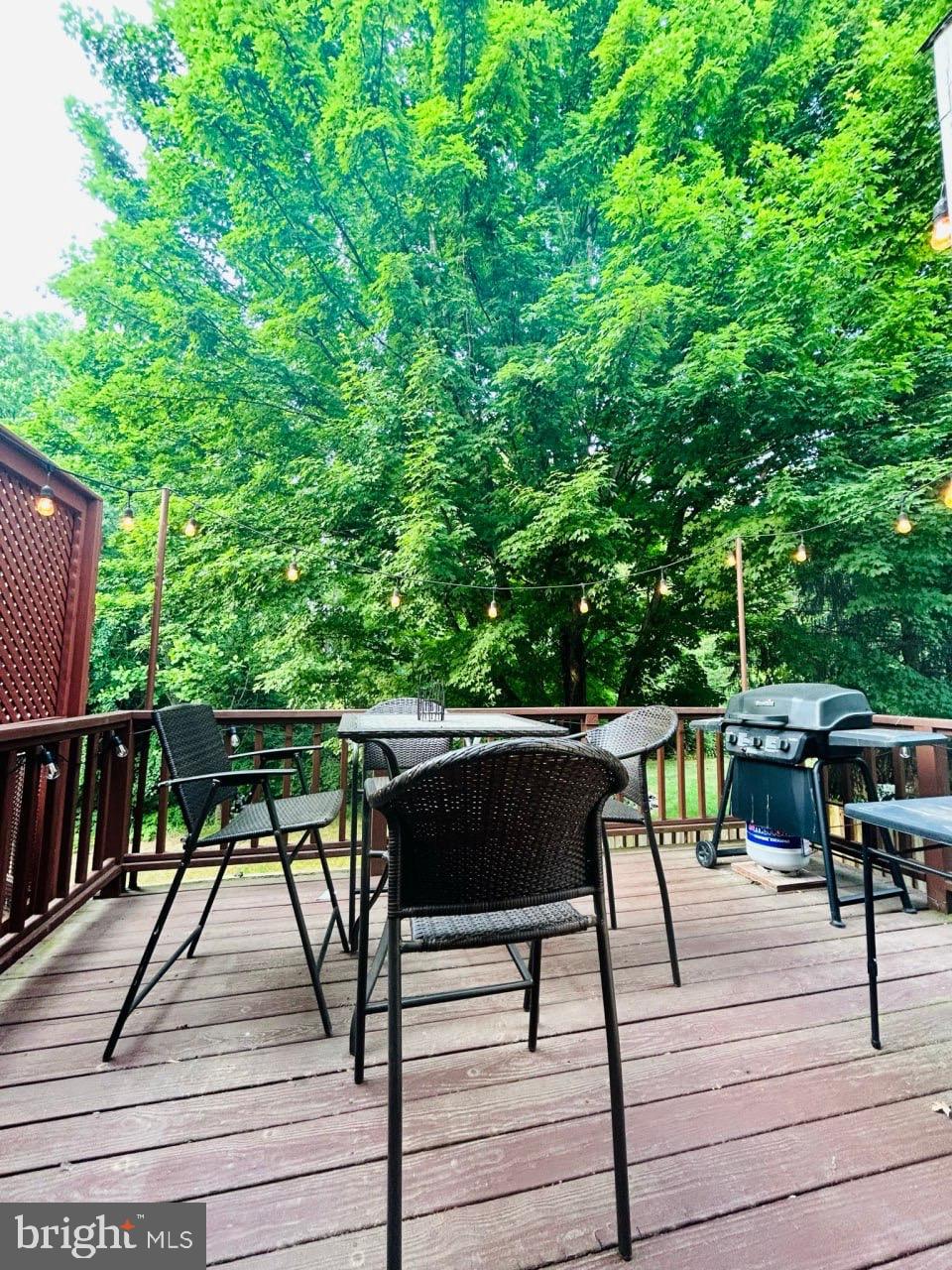 CASCADES/LOWES - Residential Lease