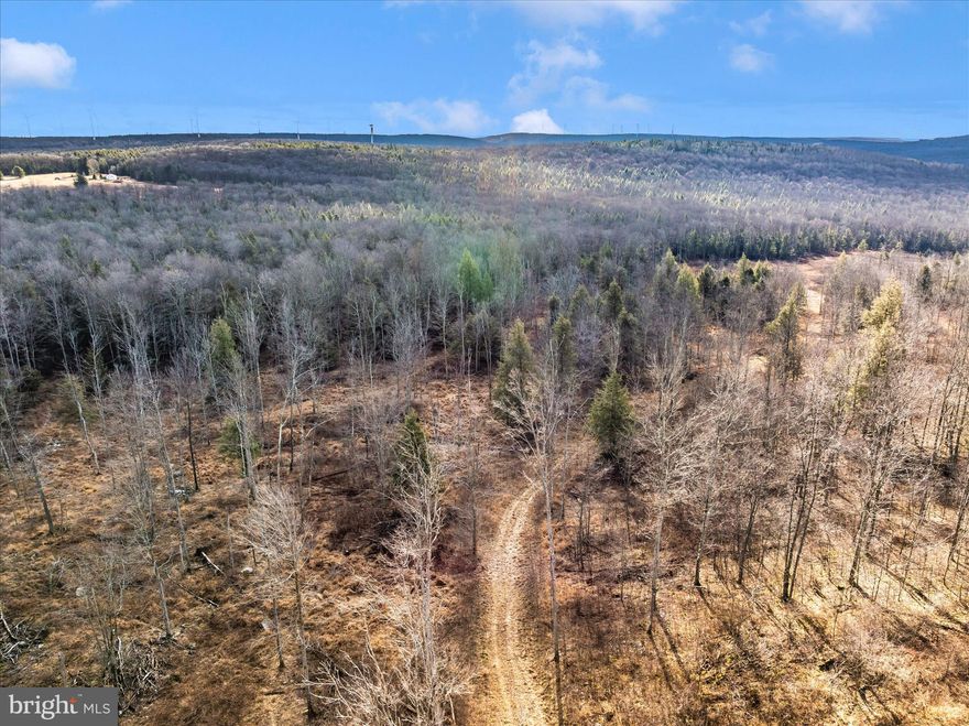 Private land opportunity for YOU!!  This 13.772-acre parcel is ideal for constructing your dream home, establishing a weekend getaway, or utilizing as a versatile recreational property. The potential is limitless—truly a must-see!!