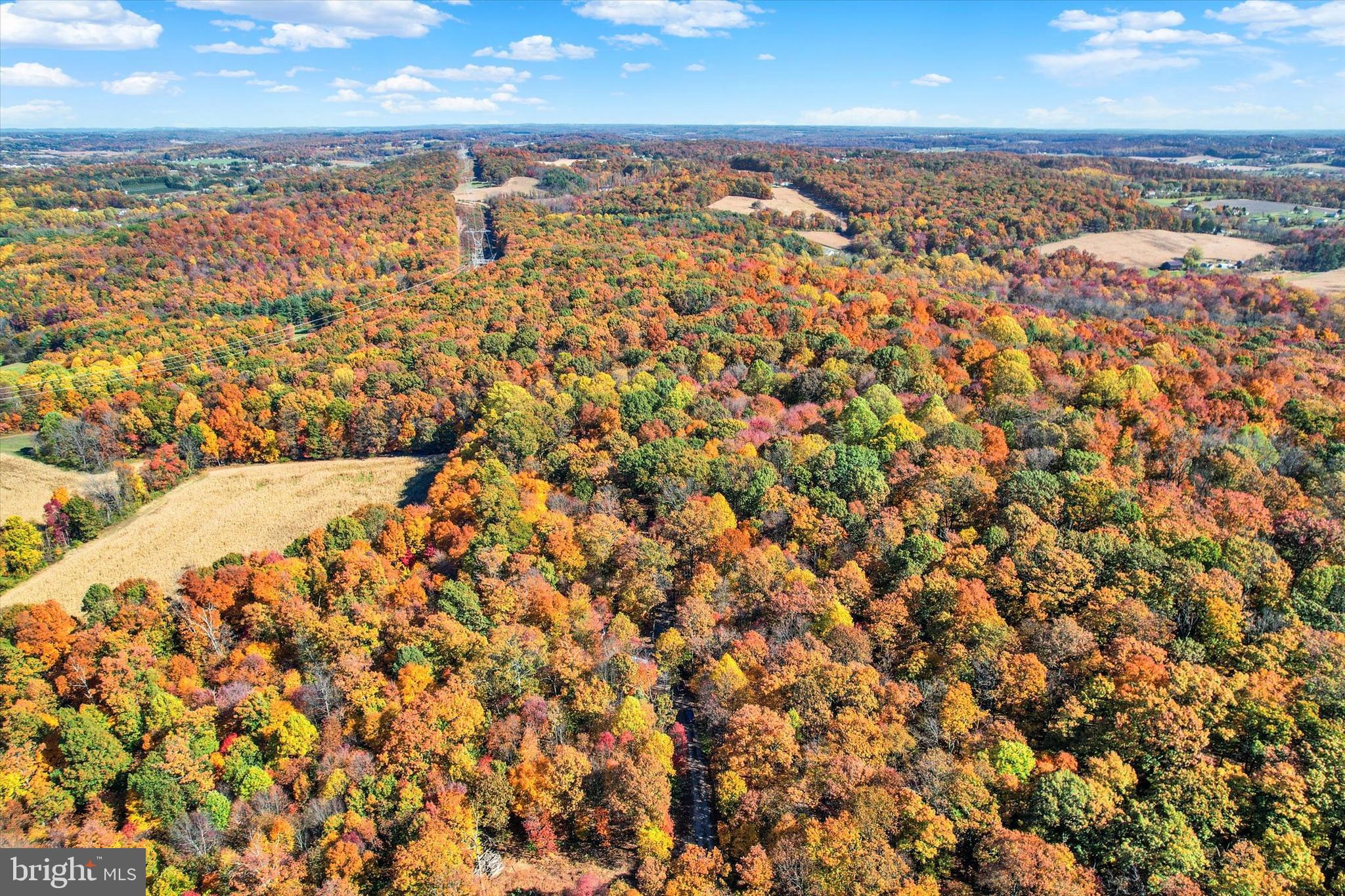 4815 BAND HALL HILL ROAD